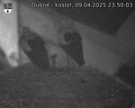 Capi_Dubne_20250409_235003.jpg