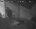 Capi_Dubne_20250410_000503.jpg