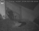 Capi_Dubne_20250410_001002.jpg