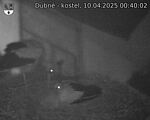 Capi_Dubne_20250410_004002.jpg