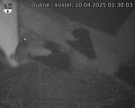 Capi_Dubne_20250410_013003.jpg