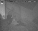 Capi_Dubne_20250410_021502.jpg