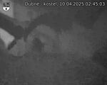 Capi_Dubne_20250410_024503.jpg