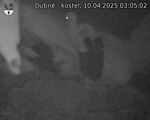 Capi_Dubne_20250410_030502.jpg