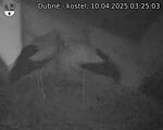 Capi_Dubne_20250410_032503.jpg
