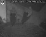 Capi_Dubne_20250410_035002.jpg