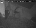 Capi_Dubne_20250410_040002.jpg