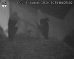 Capi_Dubne_20250410_042502.jpg