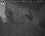 Capi_Dubne_20250410_043502.jpg