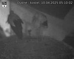 Capi_Dubne_20250410_051002.jpg