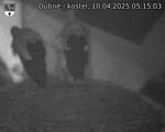 Capi_Dubne_20250410_051503.jpg