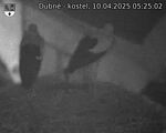 Capi_Dubne_20250410_052502.jpg