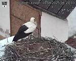 Capi_Dubne_20250410_062003.jpg
