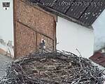 Capi_Dubne_20250410_080502.jpg