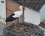 Capi_Dubne_20250410_081503.jpg