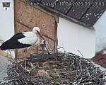 Capi_Dubne_20250410_091003.jpg