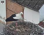 Capi_Dubne_20250410_092002.jpg