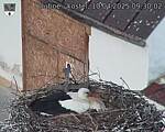 Capi_Dubne_20250410_093002.jpg