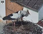 Capi_Dubne_20250410_104503.jpg