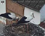 Capi_Dubne_20250410_111502.jpg