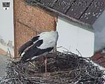 Capi_Dubne_20250410_112002.jpg