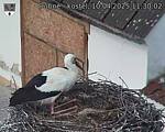Capi_Dubne_20250410_113002.jpg