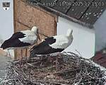Capi_Dubne_20250410_121503.jpg