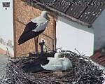 Capi_Dubne_20250410_124503.jpg