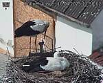 Capi_Dubne_20250410_125002.jpg