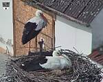 Capi_Dubne_20250410_125503.jpg