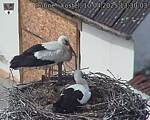 Capi_Dubne_20250410_133003.jpg
