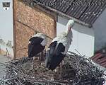 Capi_Dubne_20250410_135503.jpg