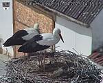 Capi_Dubne_20250410_141503.jpg