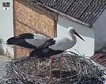 Capi_Dubne_20250410_143003.jpg