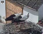 Capi_Dubne_20250410_144003.jpg