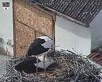 Capi_Dubne_20250410_145002.jpg