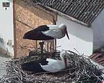 Capi_Dubne_20250410_151003.jpg