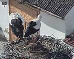 Capi_Dubne_20250410_153003.jpg