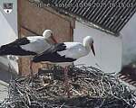 Capi_Dubne_20250410_161503.jpg