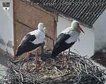 Capi_Dubne_20250410_163502.jpg