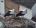 Capi_Dubne_20250410_164003.jpg