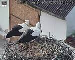Capi_Dubne_20250410_165003.jpg
