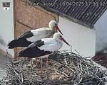 Capi_Dubne_20250410_170002.jpg
