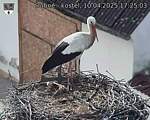 Capi_Dubne_20250410_172503.jpg