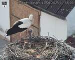 Capi_Dubne_20250410_175503.jpg