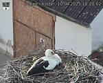 Capi_Dubne_20250410_182002.jpg