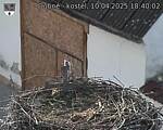 Capi_Dubne_20250410_184002.jpg