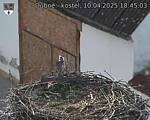 Capi_Dubne_20250410_184503.jpg