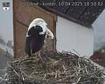 Capi_Dubne_20250410_185002.jpg