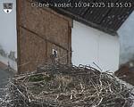 Capi_Dubne_20250410_185503.jpg
